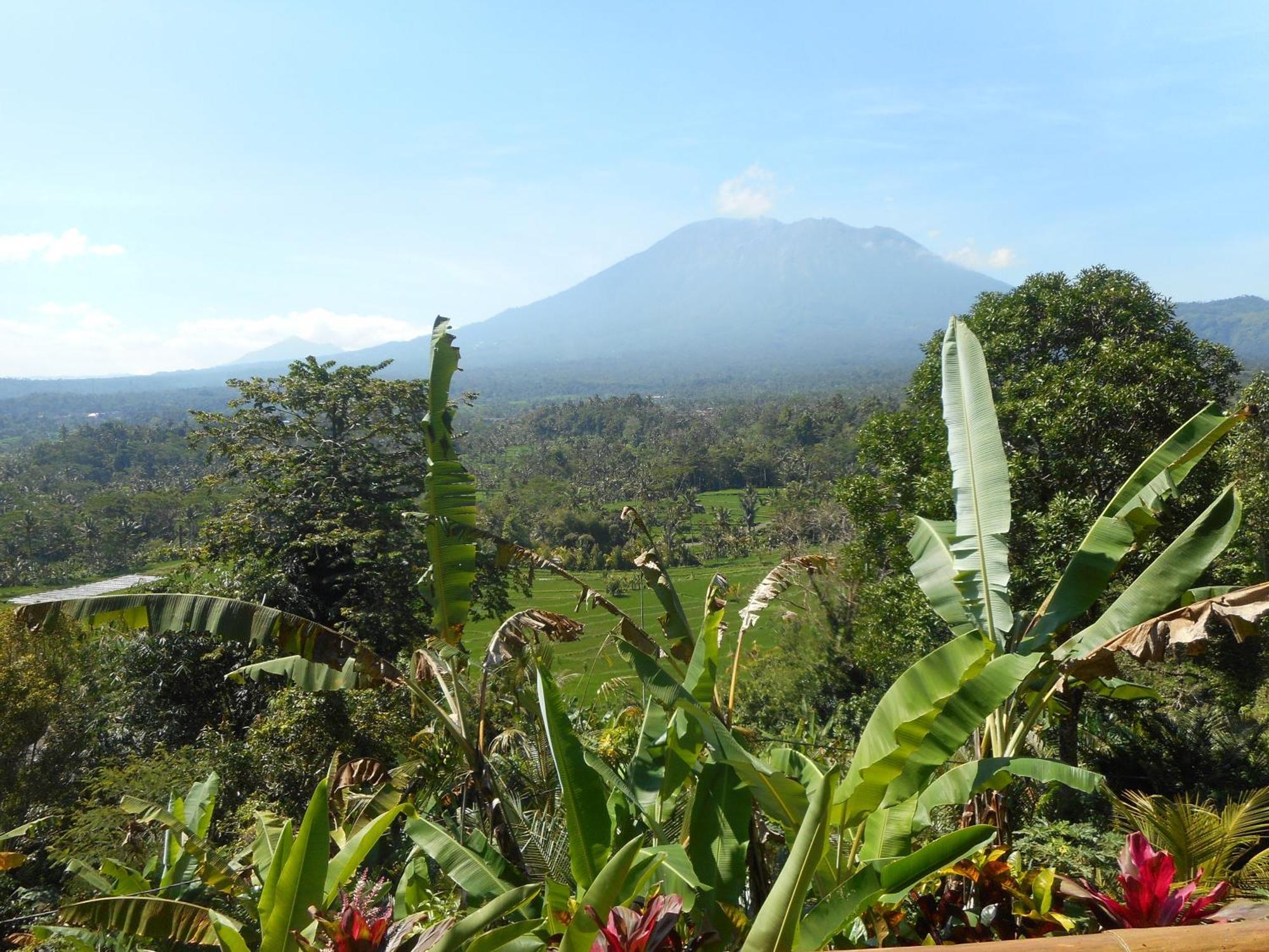 Villa Dukuh Selat ภายนอก รูปภาพ